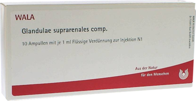 GLANDULAE SUPRARENALES comp.Ampullen