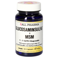GLUCOSAMINSULFAT+MSM 1:1 GPH Kapseln