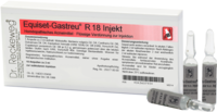 EQUISET-Gastreu R18 Injekt Ampullen
