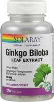 GINKGO BILOBA EXTRAKT 60 mg 24% Kapseln
