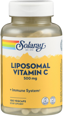 LIPOSOMALES Vitamin C 500 mg Kapseln