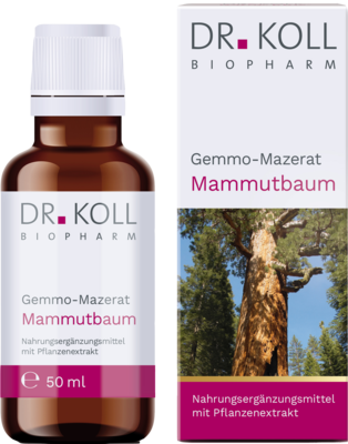 GEMMO-MAZERAT Mammutbaum Dr.Koll Sequoia giga.Tro.