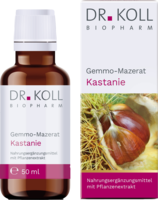 GEMMO-MAZERAT Kastanie Dr.Koll Castanea vesca Tro.