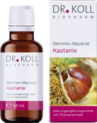GEMMO-MAZERAT Kastanie Dr.Koll Castanea vesca Tro.