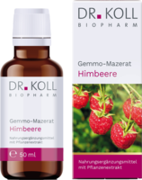GEMMO-MAZERAT Himbeere Dr.Koll Rubus idaeus Tropf.