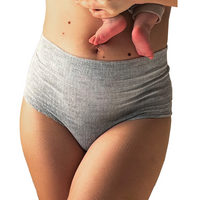 LANSINOH Wochenbett-Unterwäsche