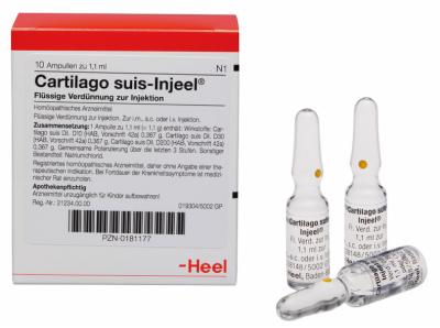 CARTILAGO suis Injeel Ampullen