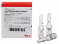 CARTILAGO suis Injeel Ampullen