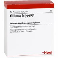 SILICEA INJEEL Ampullen